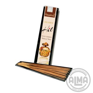 Nag Chang Golden Hit con fondo de envato con logo